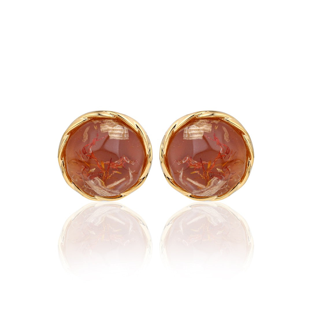 Brown Crystal Dome Stud Earrings